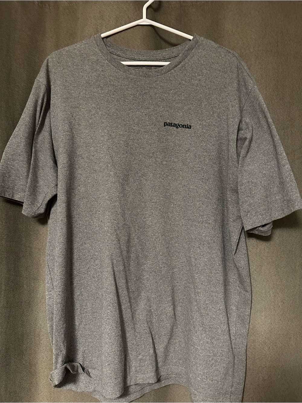 Patagonia Short-Sleeve Crew T-Shirt in Heather Gray